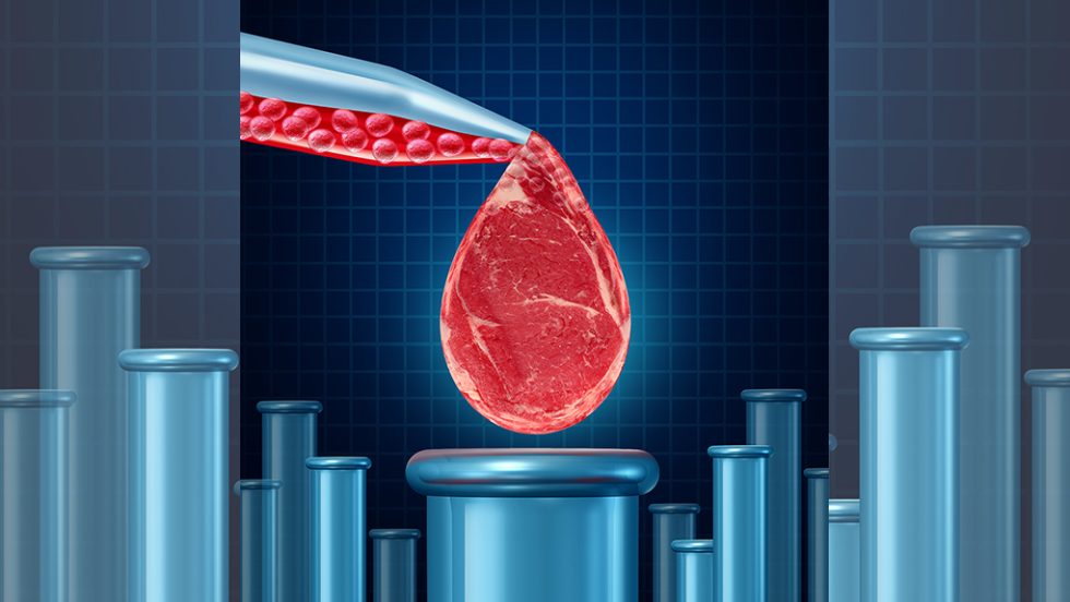 synthetic food